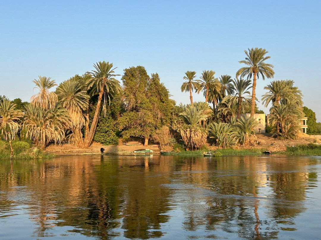 Nile Crocodile Felucca Tour-亚斯文必去景点
