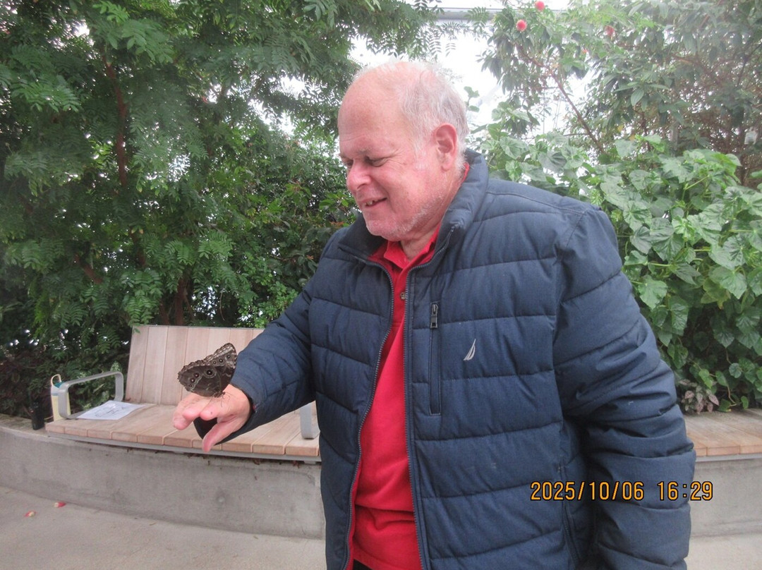 The Leaf-温尼伯必去景点