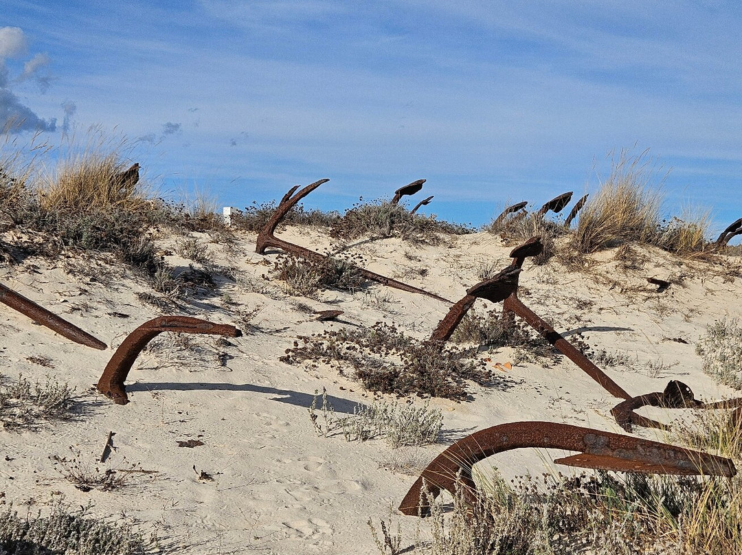 Praia do Barril-塔维拉必去景点