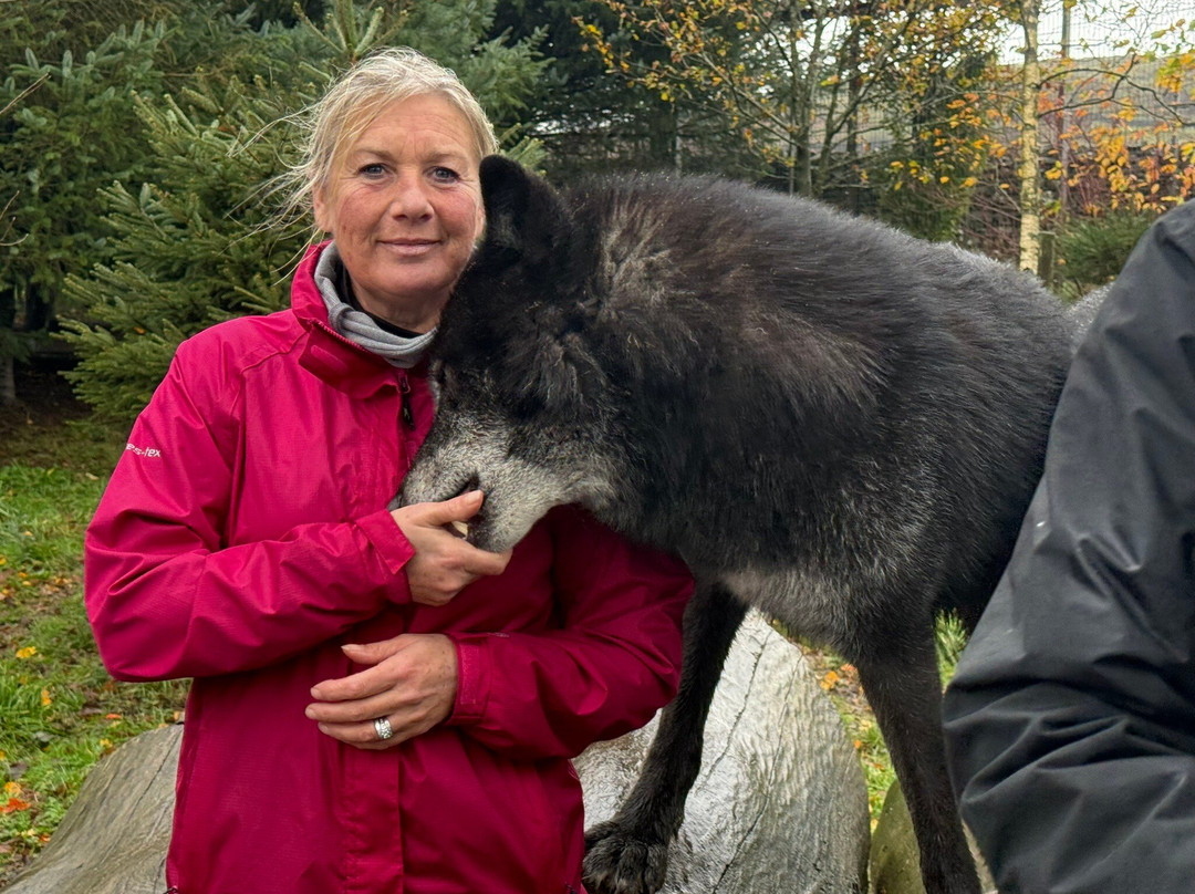 Predator Park-Ayside必去景点