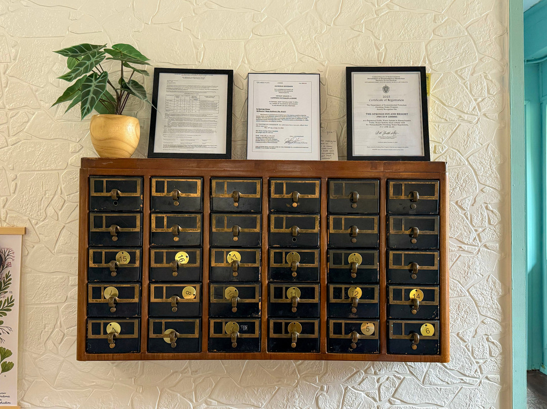 The Springs Motel主图