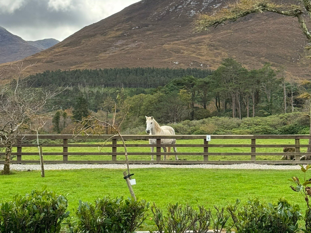 Gregan Tours Ireland-基尔代尔必去景点