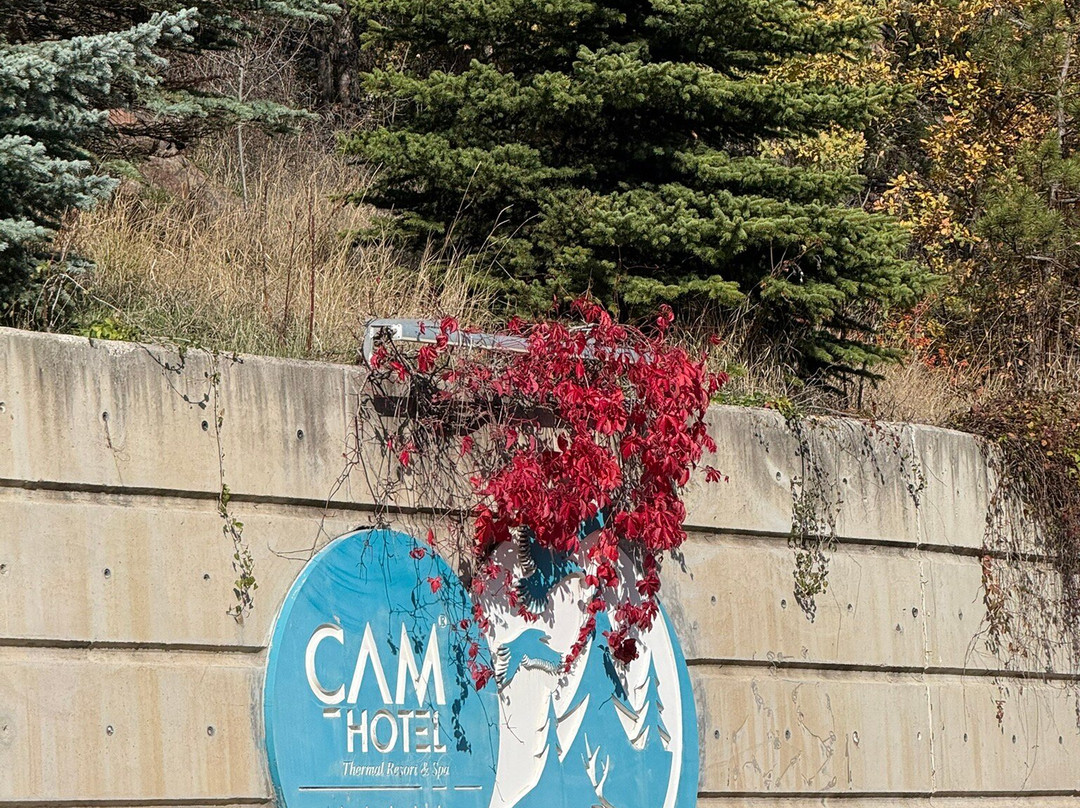 Çam Thermal Resort & Spa Hotel主图