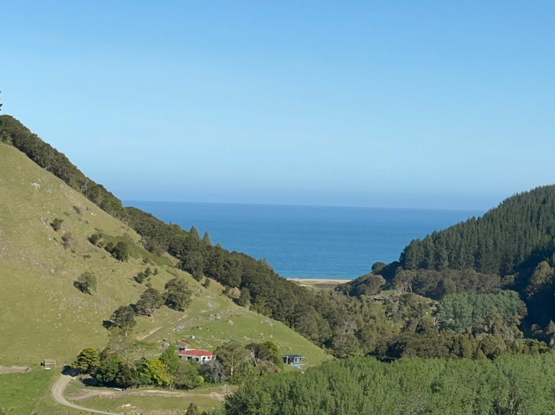 Waipatiki Beach-纳皮尔必去景点