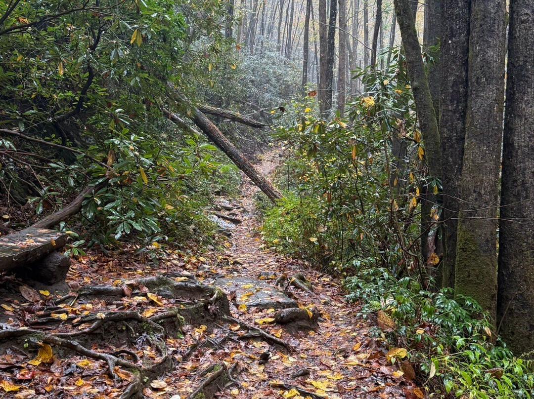 Hemlock Falls Trail-Clarkesville必去景点