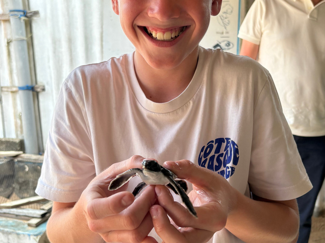 SriLankan Pearl-康提必去景点