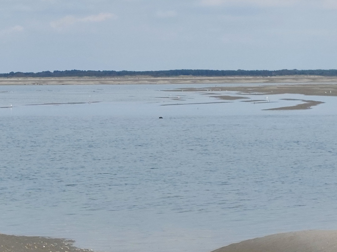 Rando Baie de Somme-Favieres必去景点