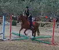 Fattoria Didattica Il Rospetto-巴尼奥阿里波利必去景点