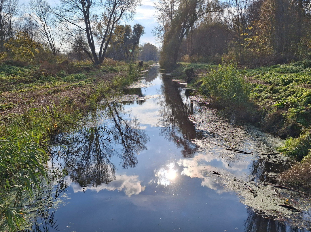 Teknős Tanösvény Dunakeszi