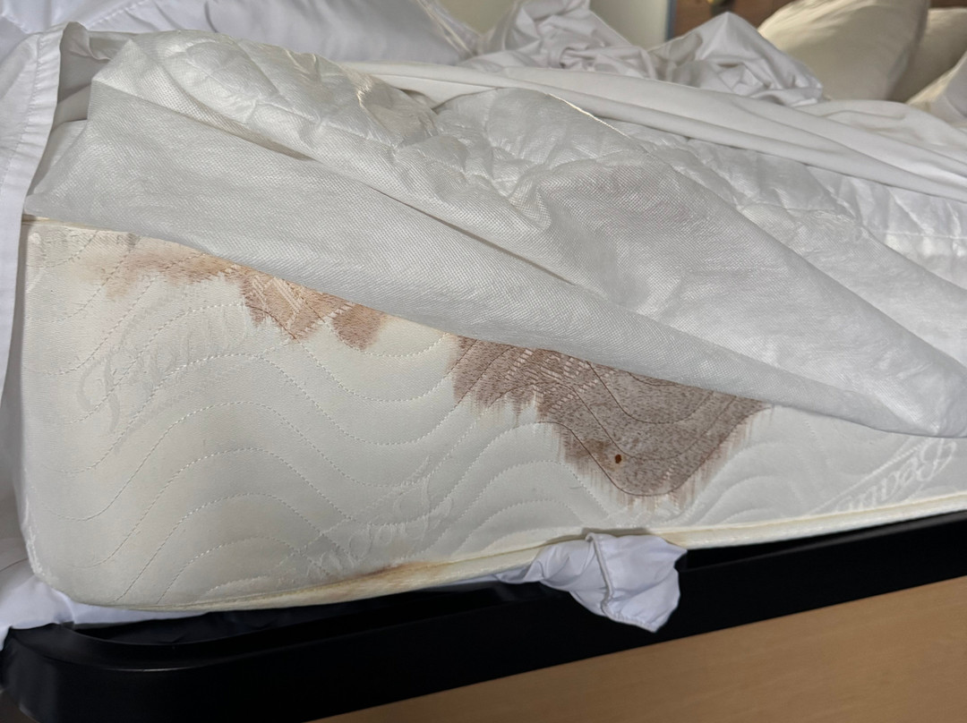 La Quinta Inn & Suites by Wyndham Frankfort主图