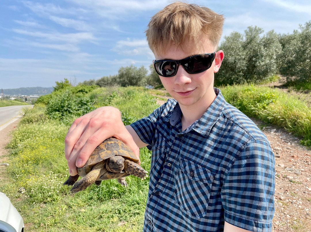 Sardis (Sardes)-萨利赫利必去景点