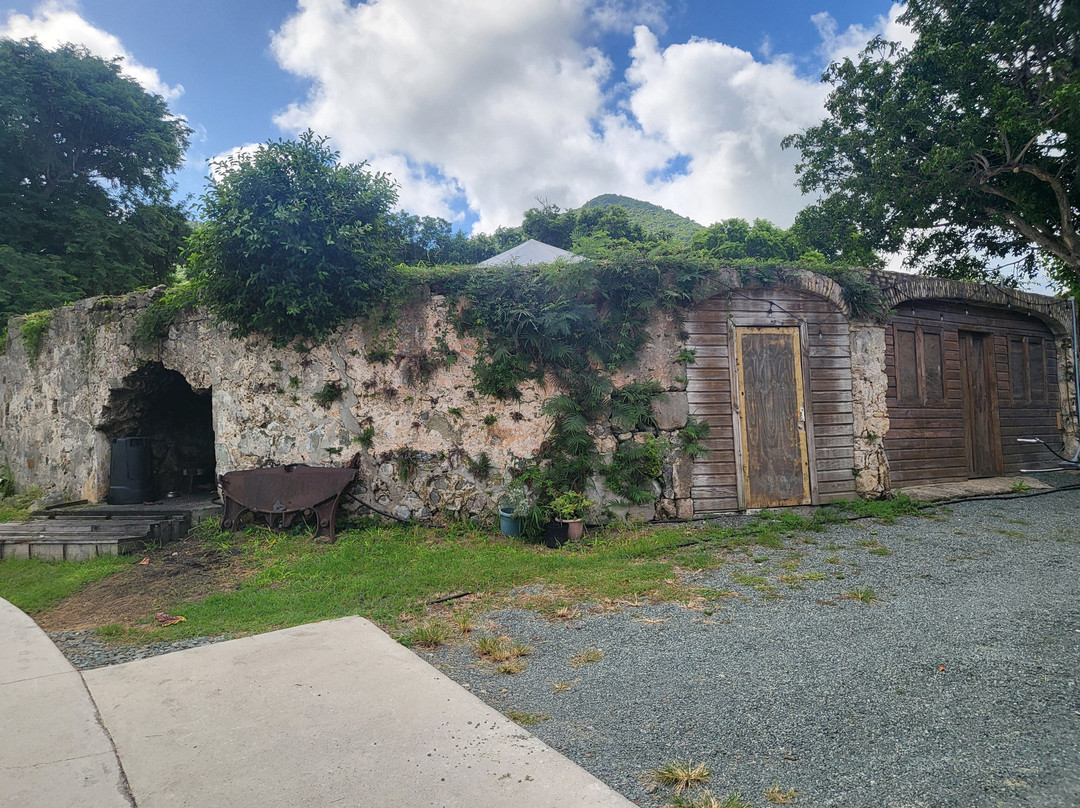 Estate Whim Museum-Frederiksted必去景点