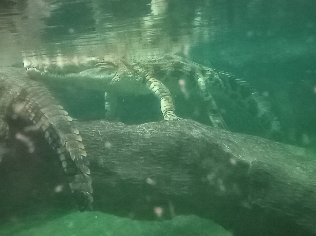 Orientarium Zoo Lodz-罗兹必去景点