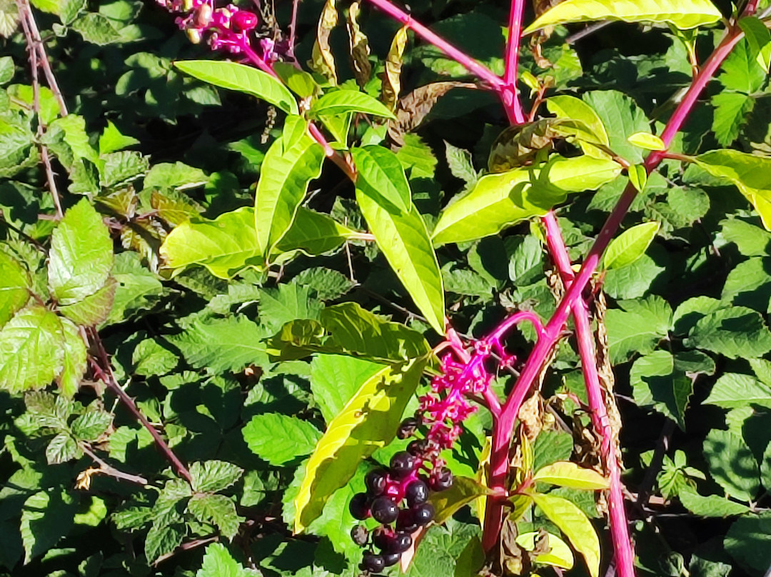 Casa Rural Parada Real主图