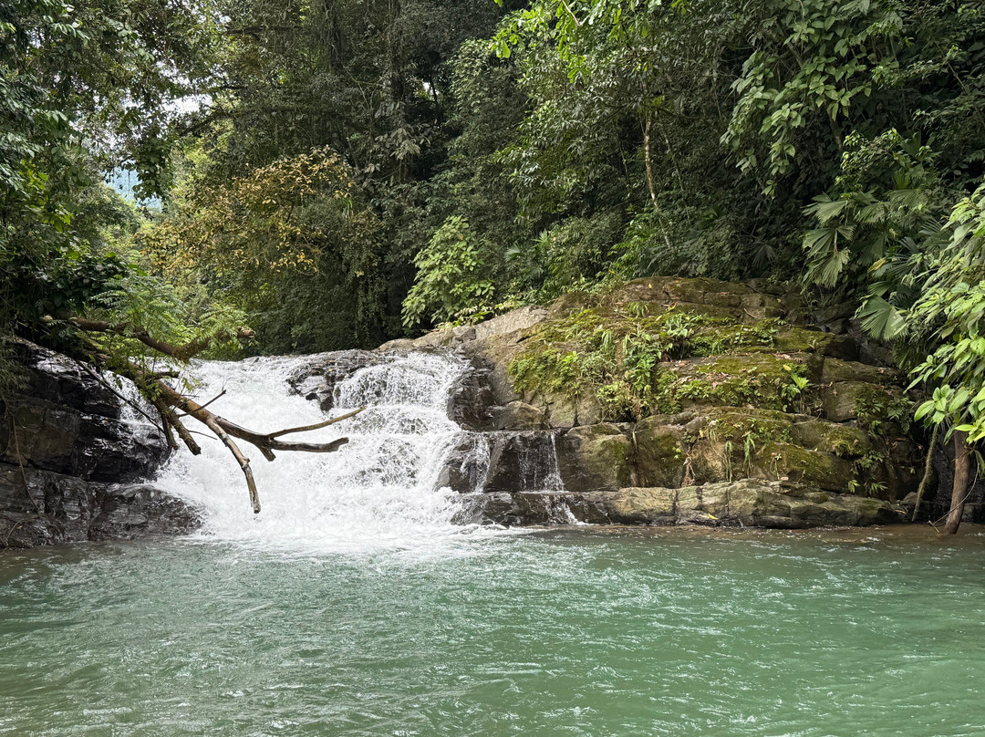 Jungle ATV Quad Tours-乌维塔必去景点