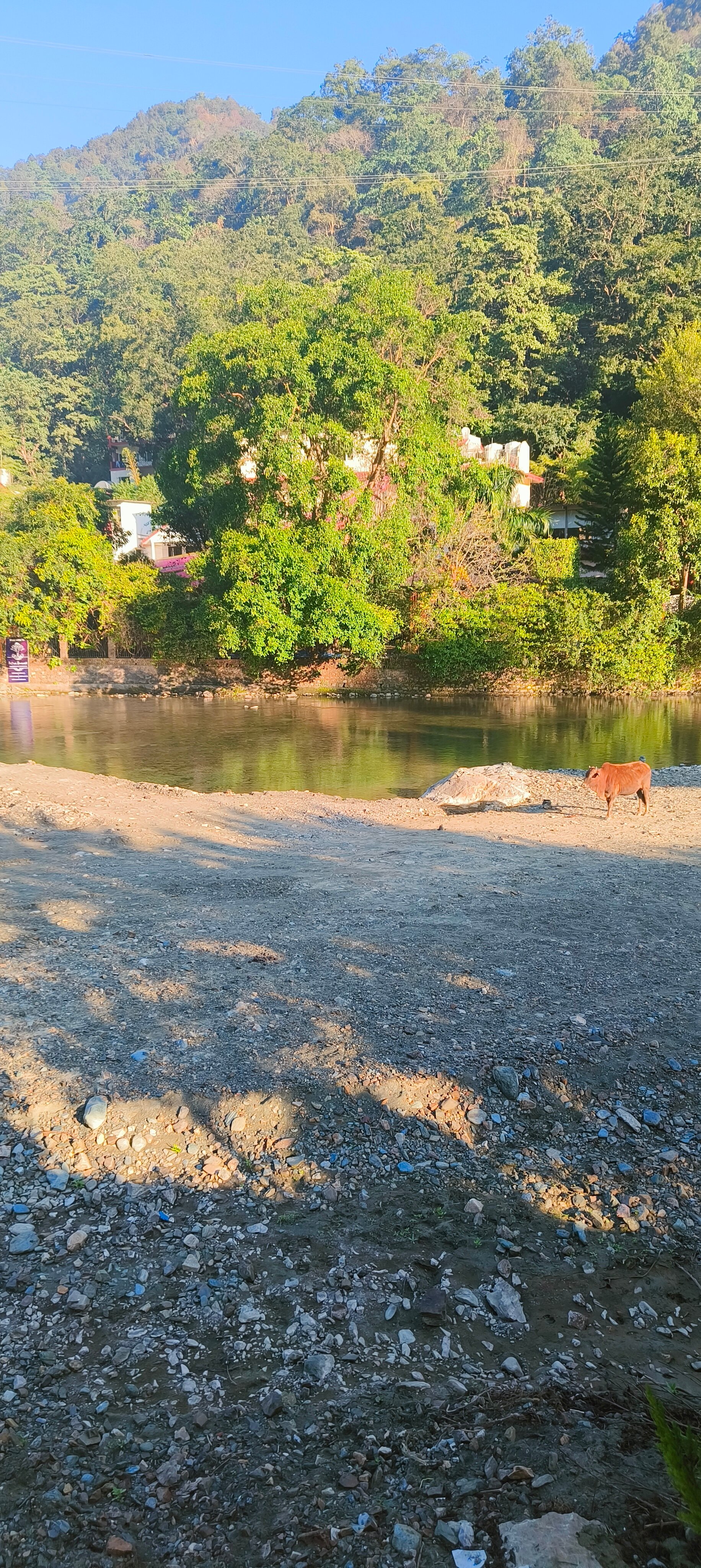 Aranyam River Retreat-官方