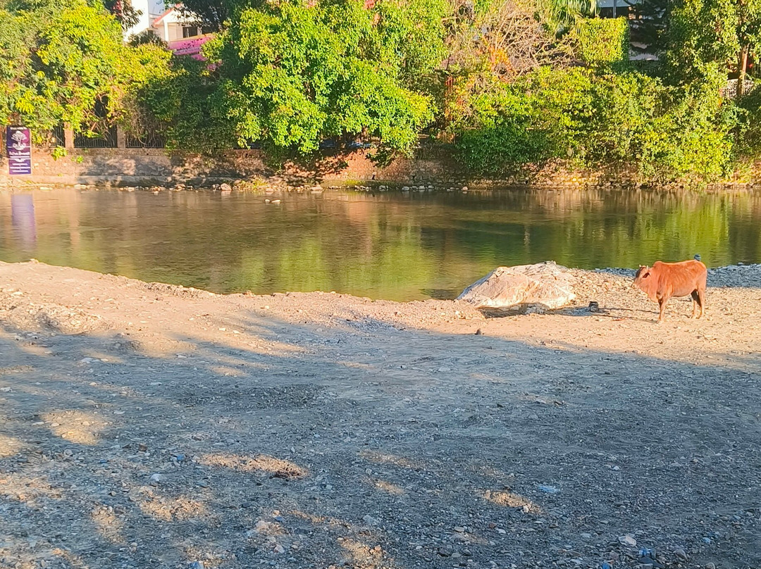 Aranyam River Retreat主图