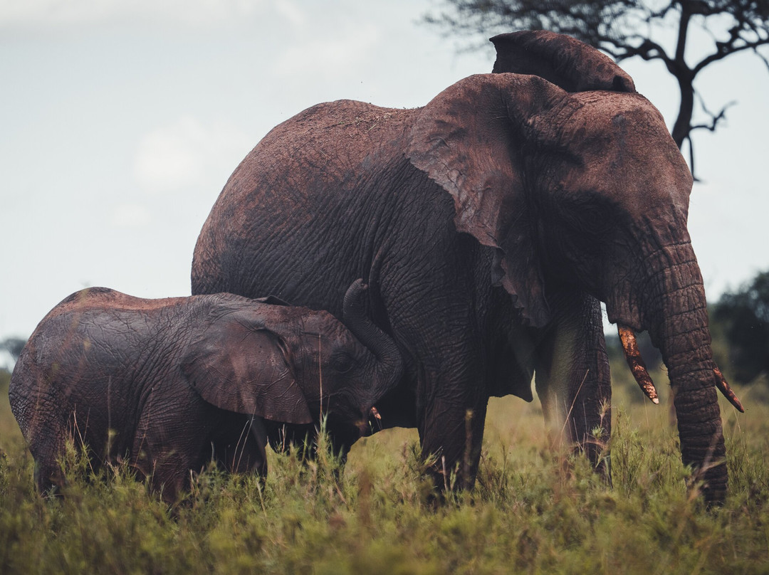 Destiny Explorers-莫西必去景点