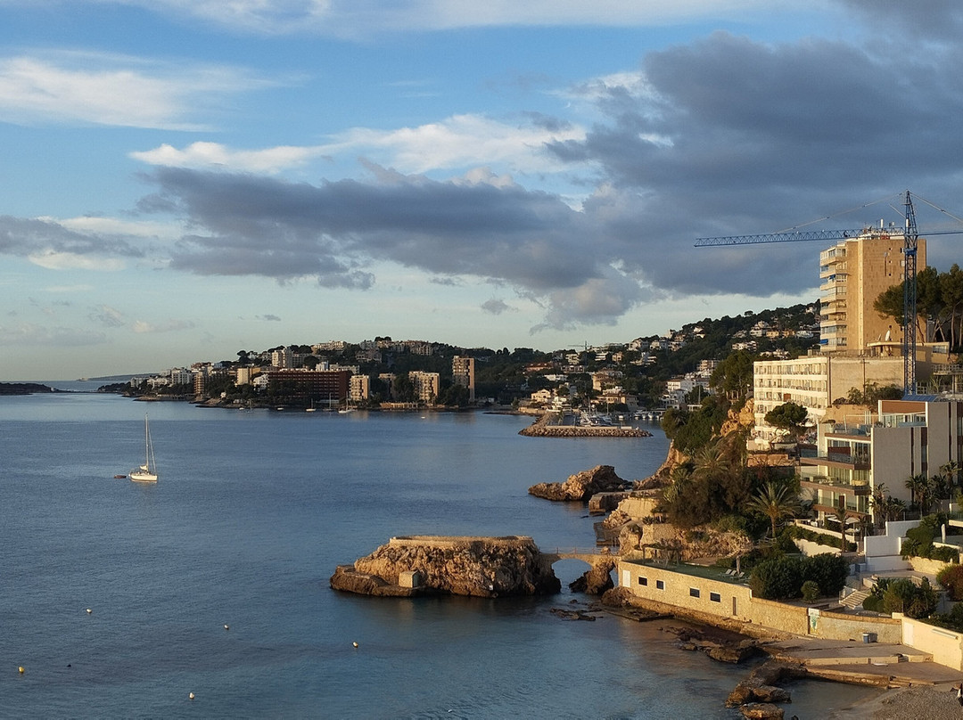 Be Live Adults Only Marivent主图