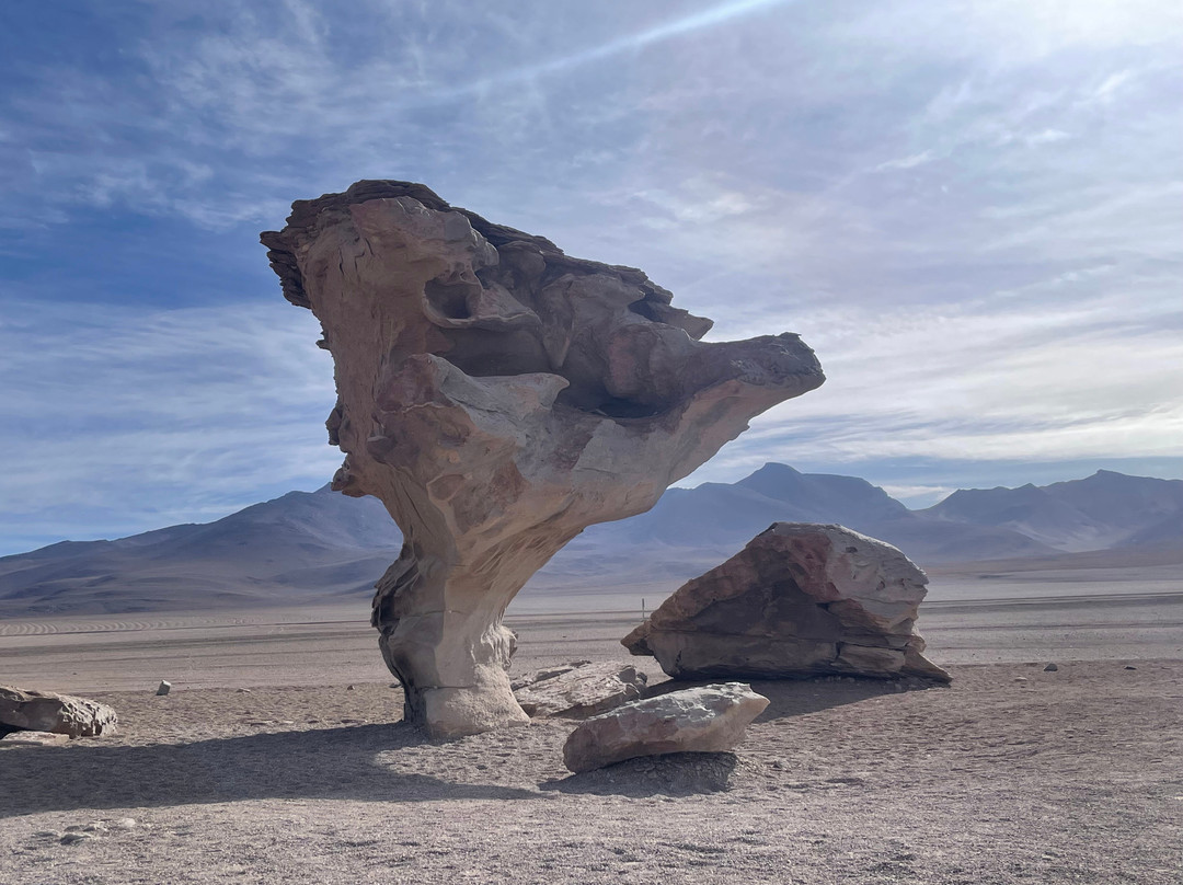 Andes Salt Expeditions Tour Operator-乌尤尼必去景点