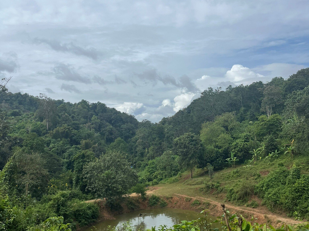 大象生态公园-清迈必去景点