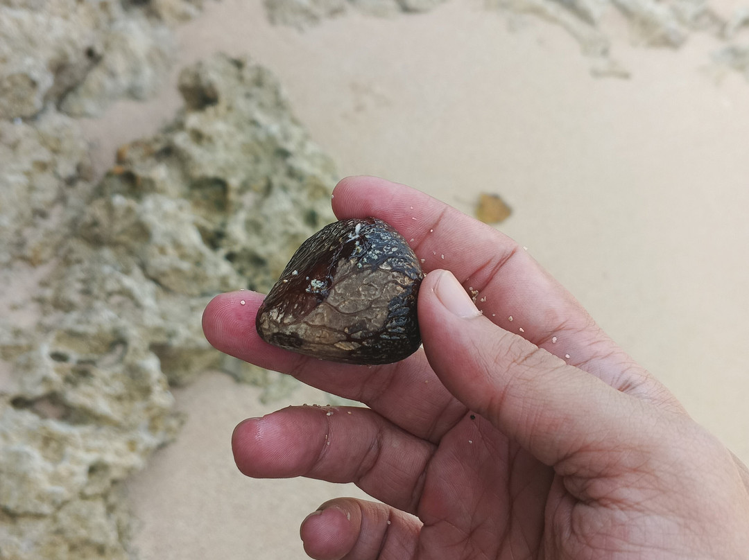 Pangi Beach-勿里达必去景点