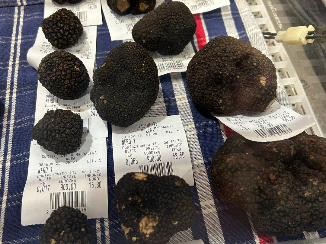 Alba International White Truffle Fair-阿尔巴必去景点