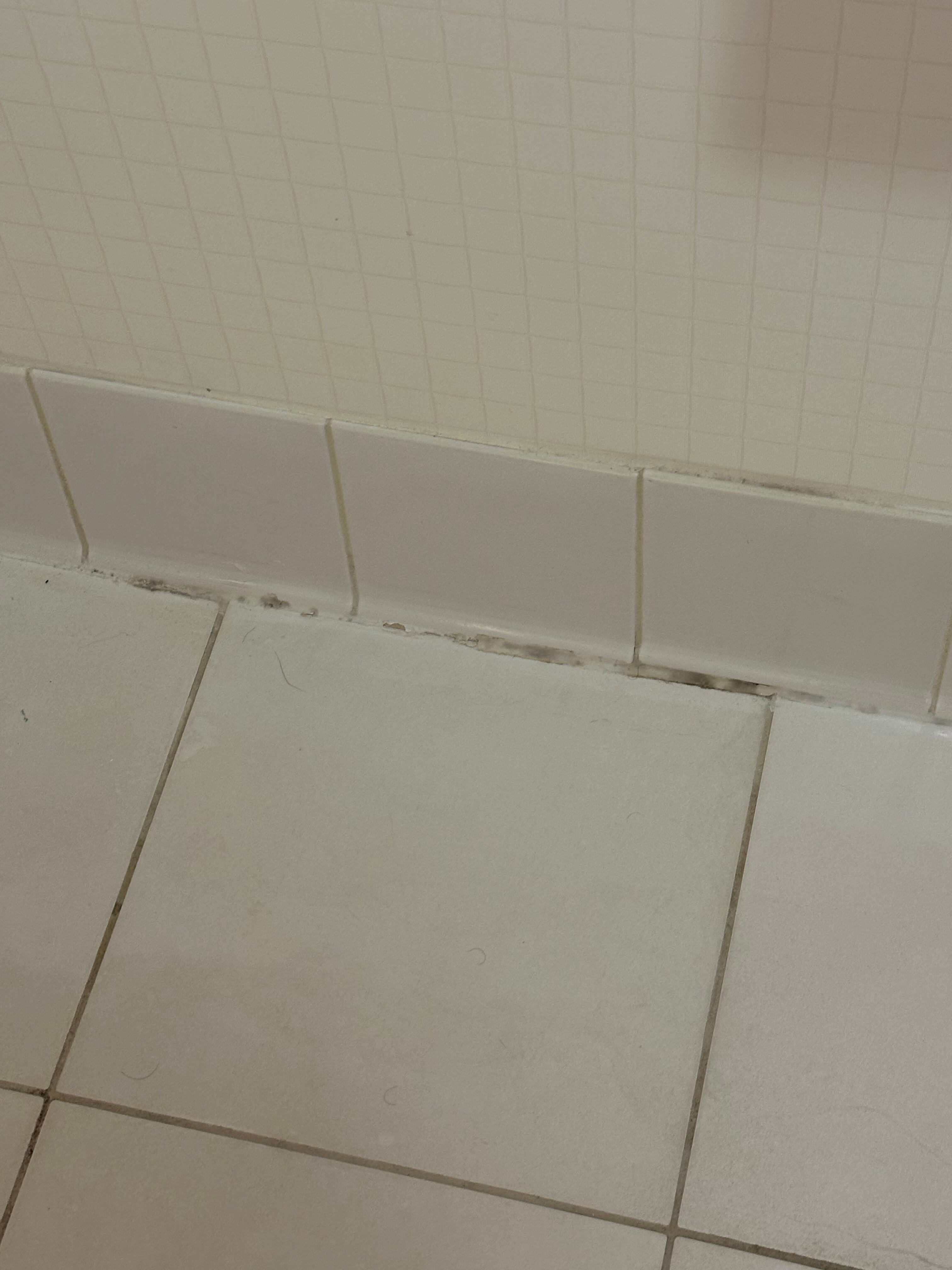 Hotel Indigo Chicago-Vernon Hills by IHG-浴室