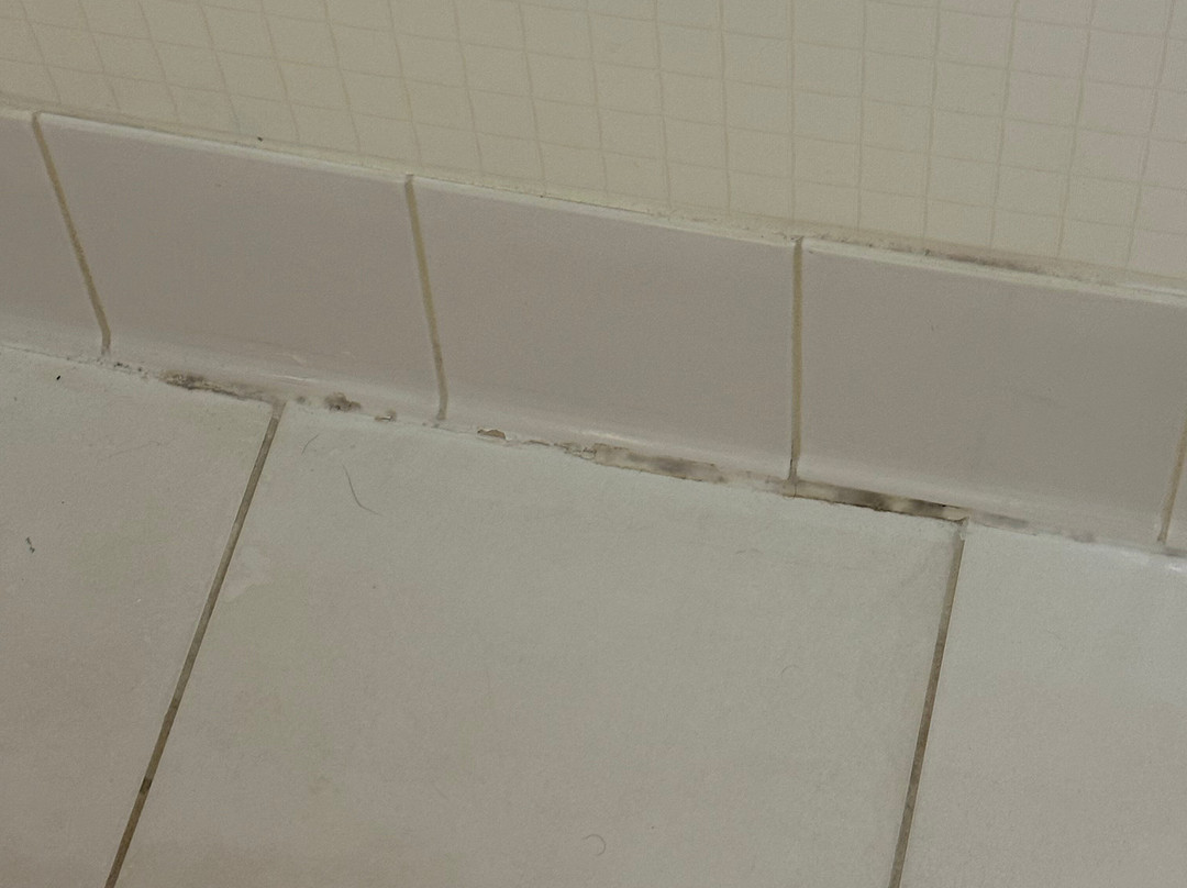 Hotel Indigo Chicago-Vernon Hills by IHG主图