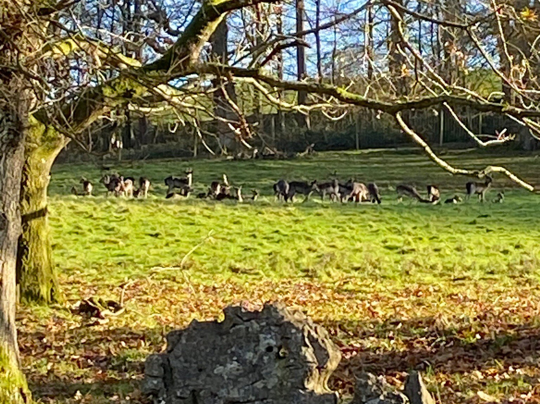 Hare and Hounds Levens主图