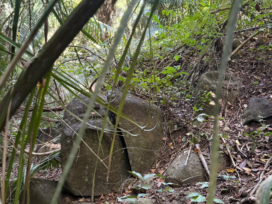 Mystic Embrace-Chacala必去景点