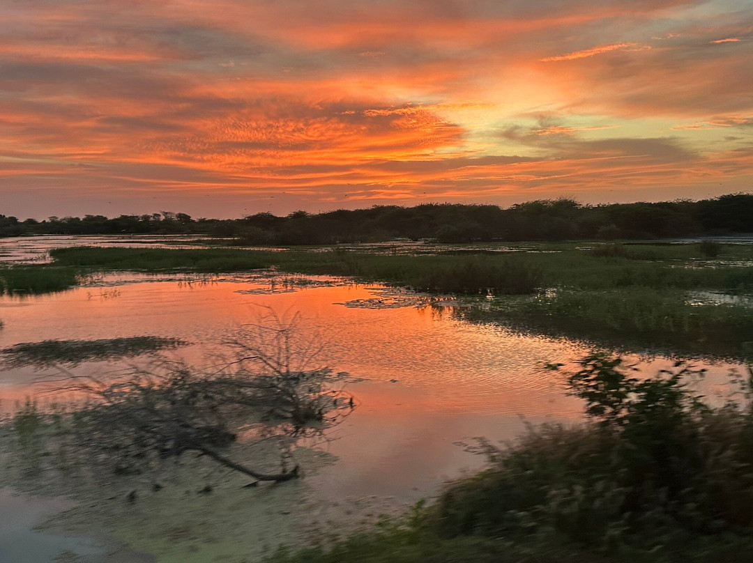 Nouvelles Frontieres-达喀尔必去景点