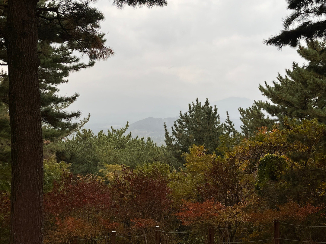 汉拿植物园-济州必去景点