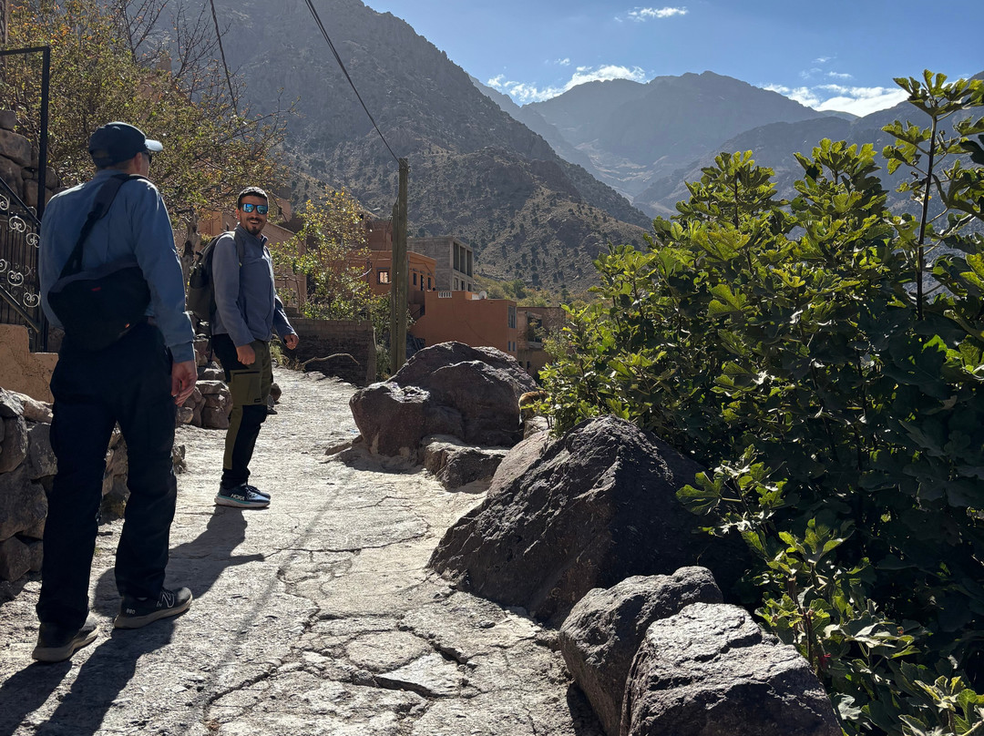 Journey Beyond Travel-Ifrane必去景点