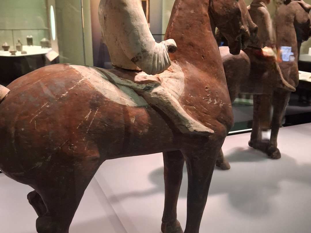 西澳博物馆-珀斯必去景点