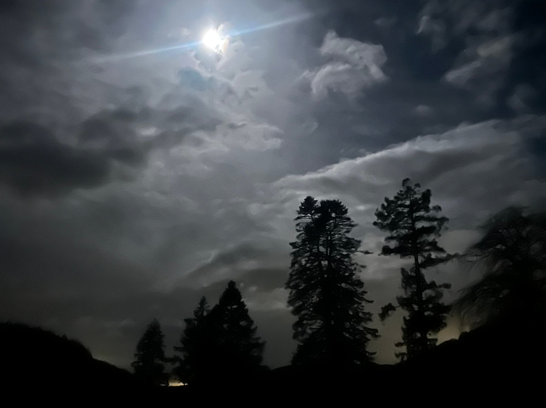 Grizedale Observatory-安布赛德必去景点