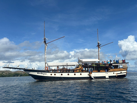 Wunderpus Liveaboard-Labuan Bajo必去景点