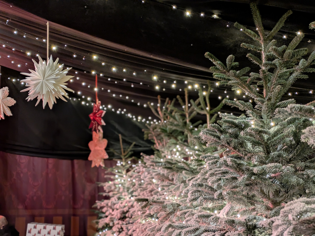 Bluebell Dairy Farm-德比必去景点