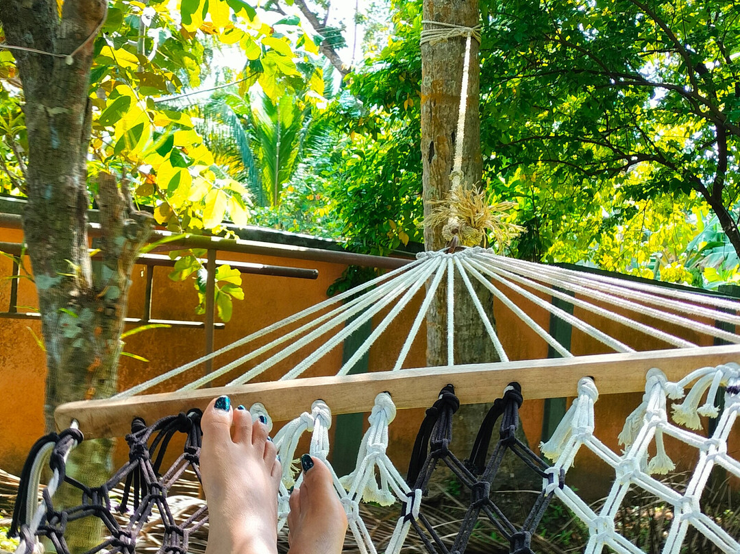 Green Chromide River View Wooden House主图