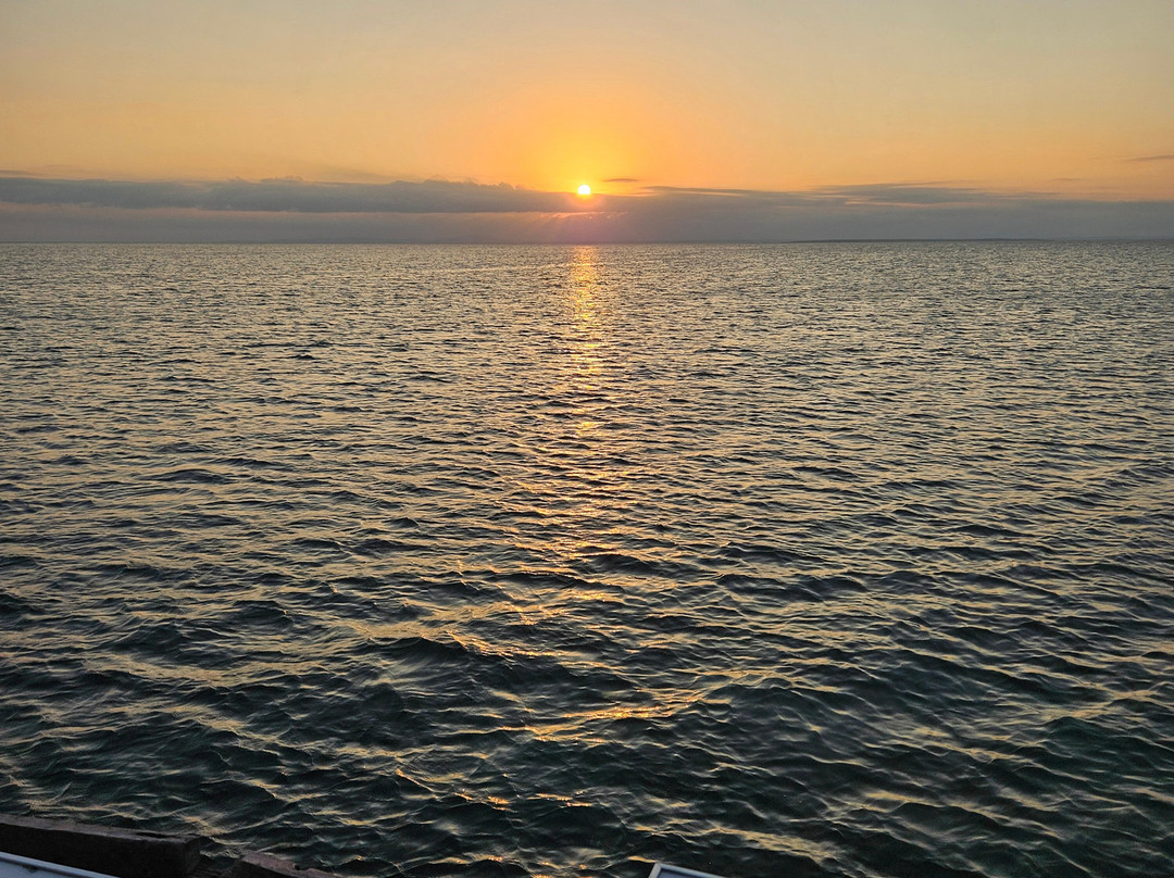 Nomadic Sails-Wasini Island必去景点