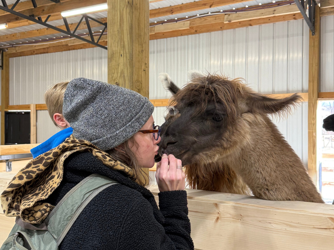 Ellaberry Llama Farm-亨德森维尔必去景点