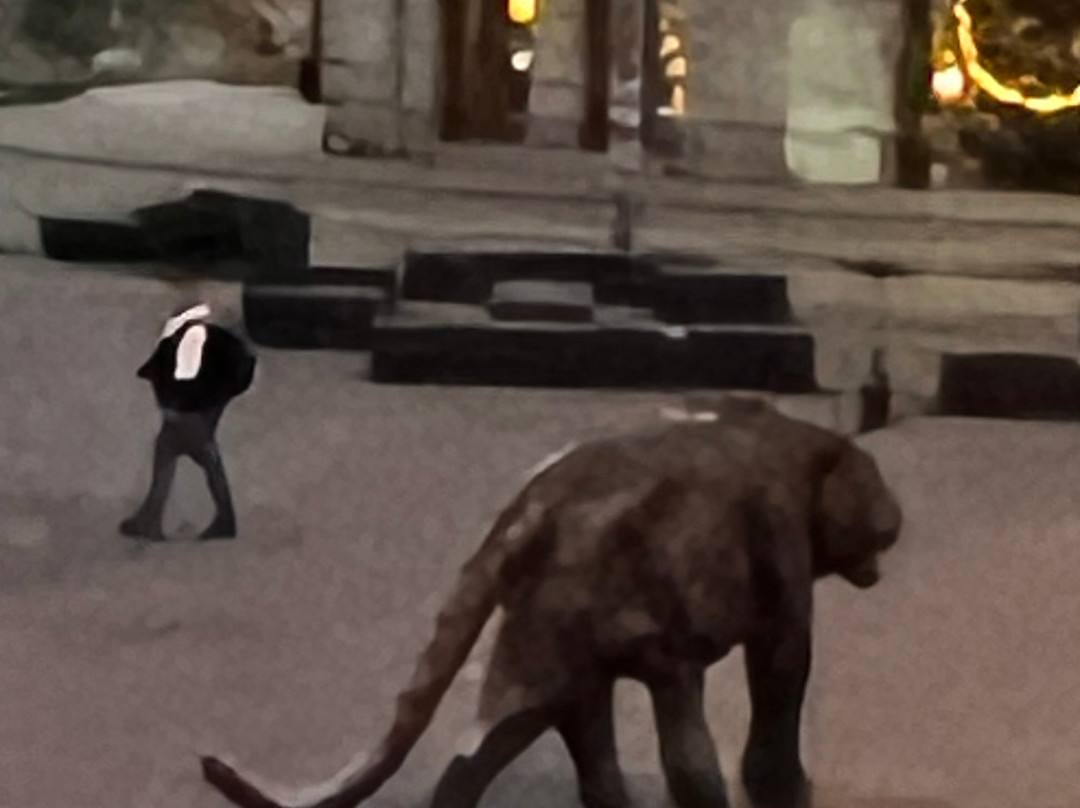 Tigeren på Jernbanetorget-奥斯陆必去景点