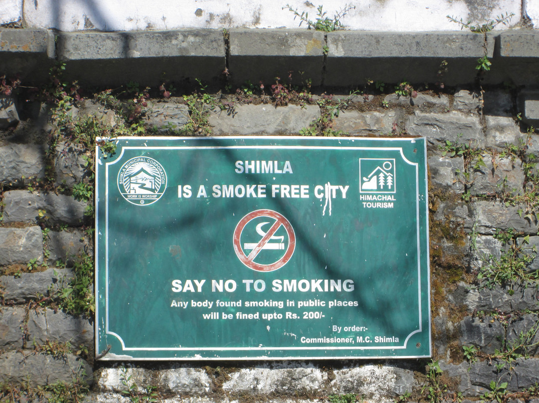 The Mall-西姆拉必去景点