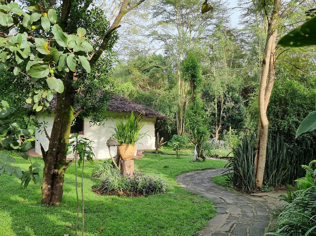 Flamingo Hill Tented Camp主图