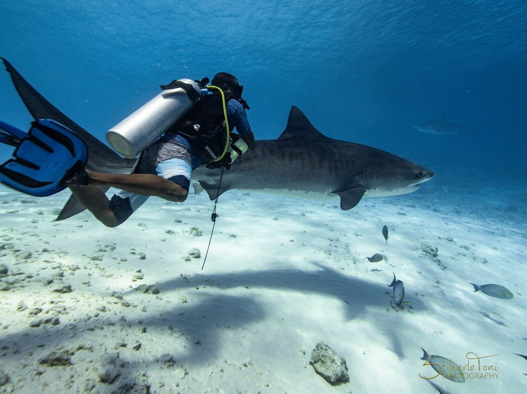 Scuba Butler Fuvahmulah-Fuvahmulah必去景点