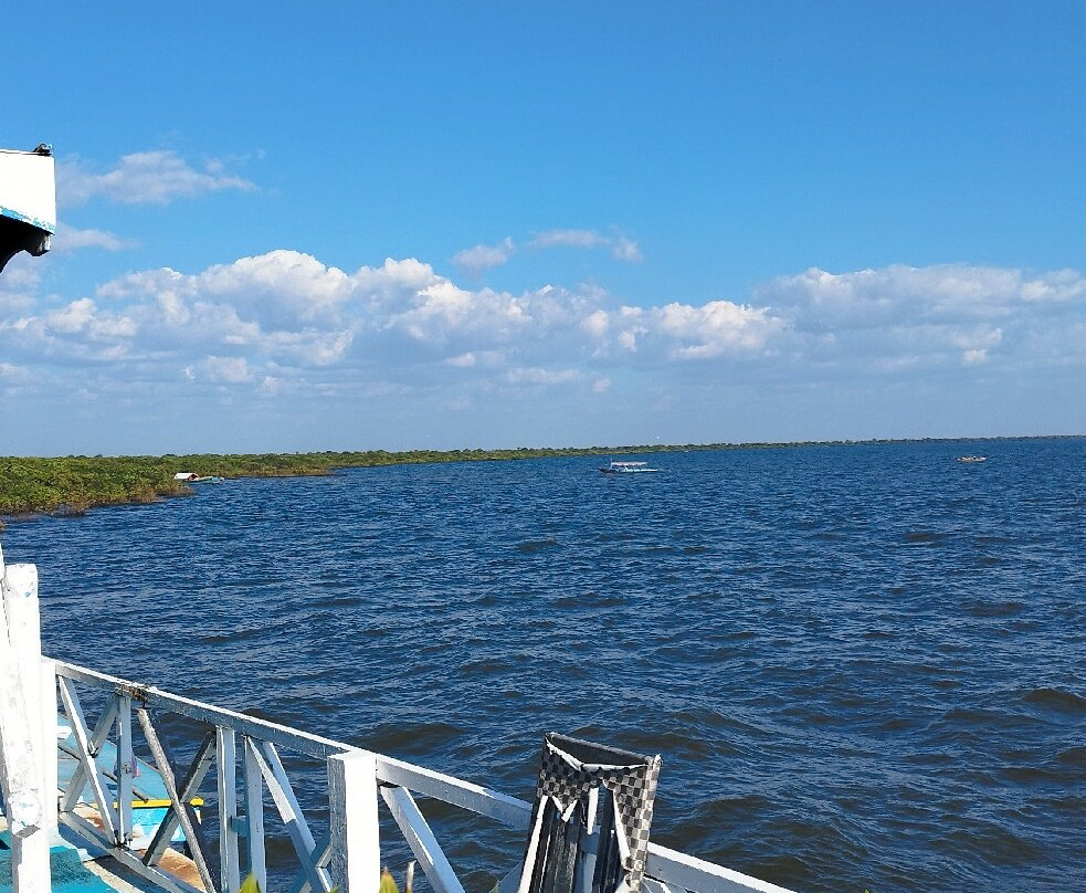 Mr Pinky's Tuk-Tuk Tours-暹粒必去景点