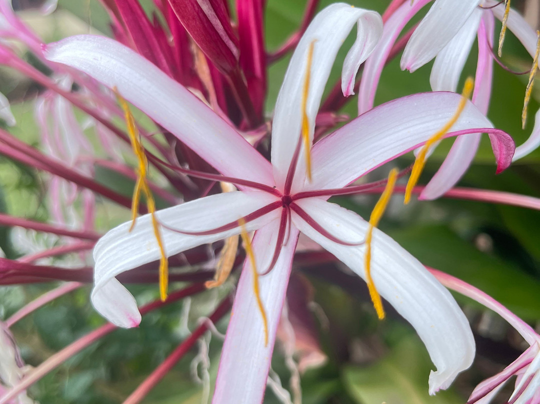 Hacienda Muñoz-San Lorenzo必去景点