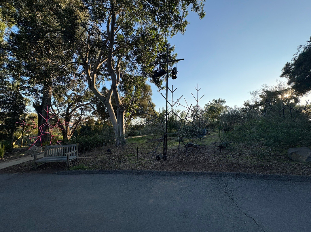 San Diego Botanic Garden-恩西尼塔斯必去景点