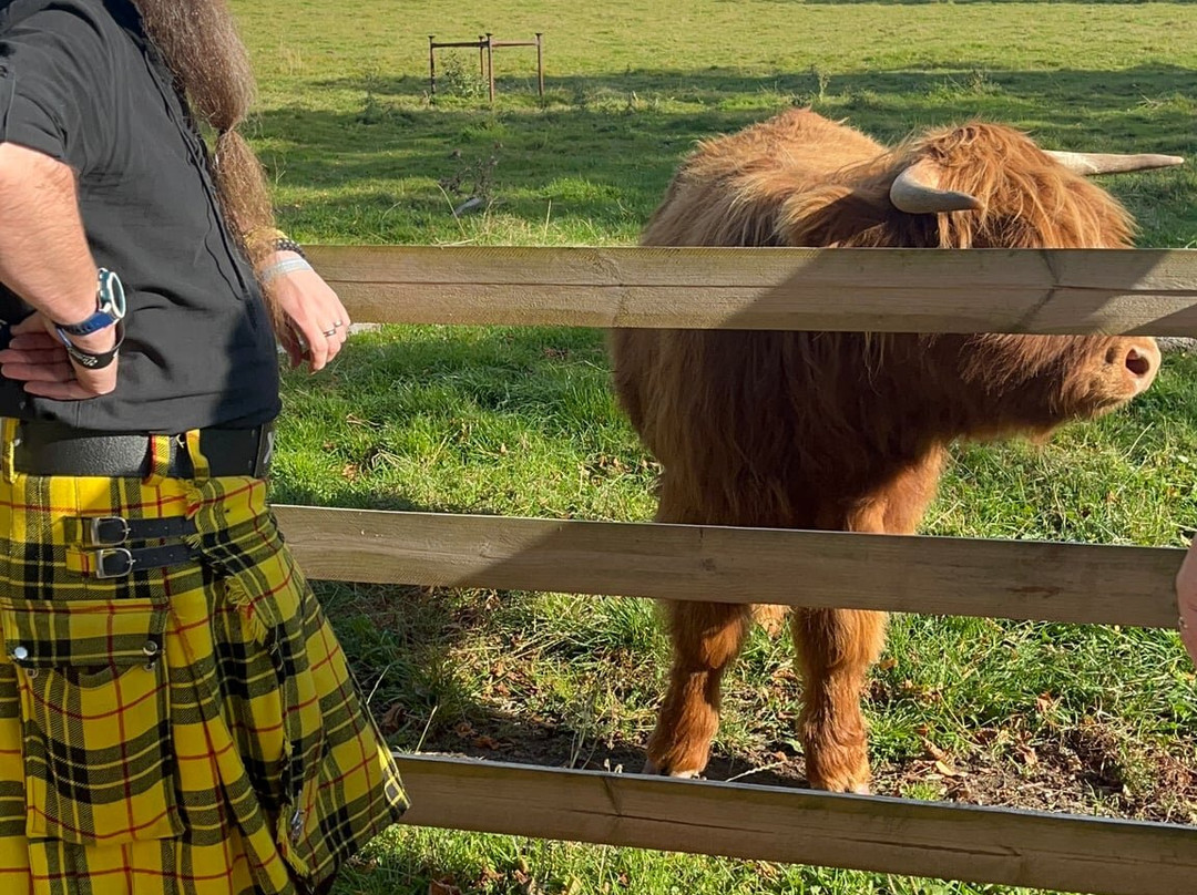 Invergordon Shore Excursions and Tours-Invergordon必去景点