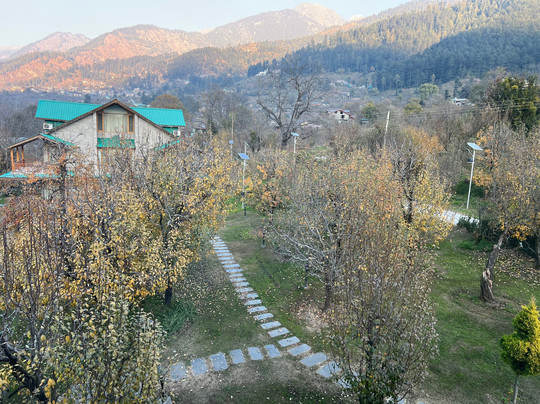 Baragarh Resort and Spa Manali- IHCL SeleQtions主图